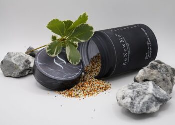 ReNewMe – Dein smarter Weg zur Zukunft des Wohlbefindens