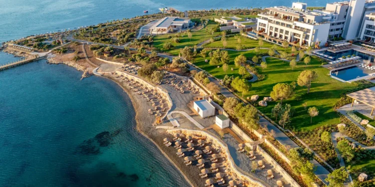 Bild Credits: © Anda Barut Collection